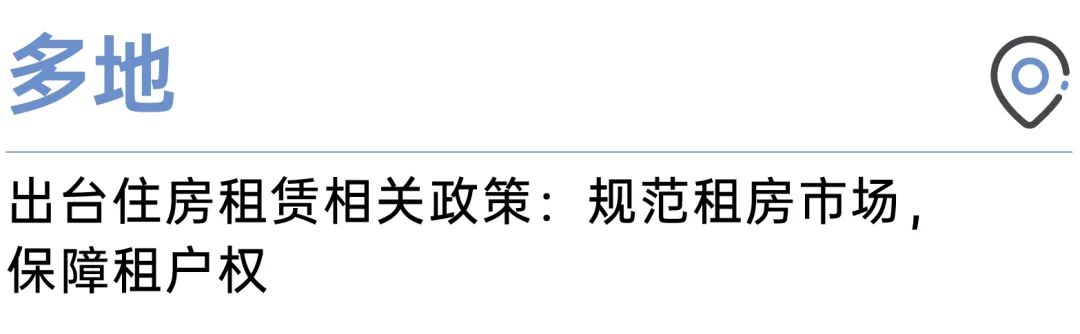 国内租房市场规范化与租客权益保障深度探究