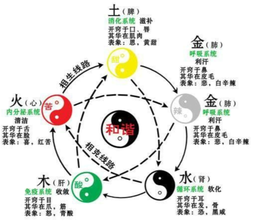 中医阴阳五行理论在养生中的实践应用