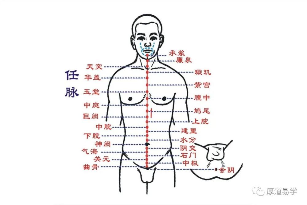 中医消化系统调理良方，常见方法解析