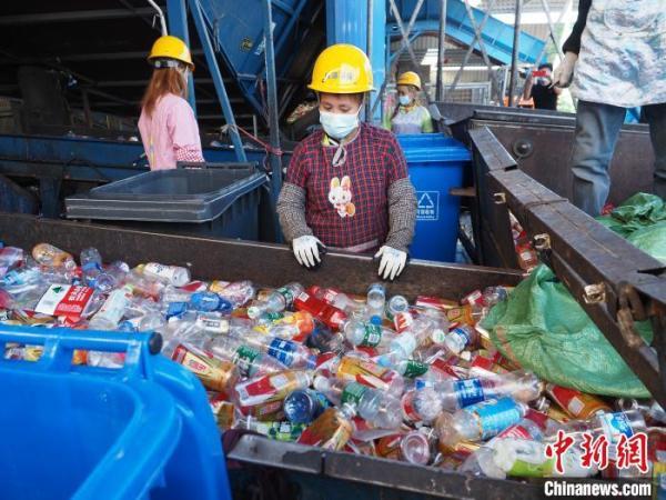 垃圾减量技巧，日常生活中的实用方法