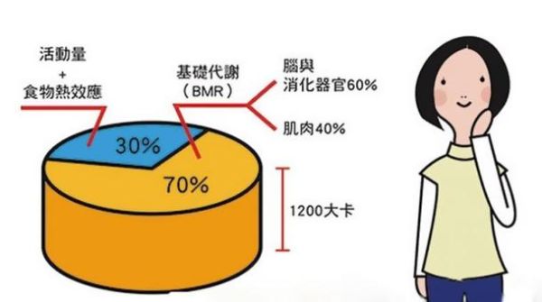 如何通过饮食调节改善身体代谢功能