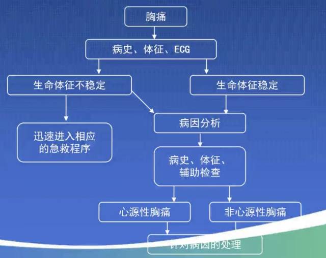 急性胸痛急救措施与处理技巧全解析