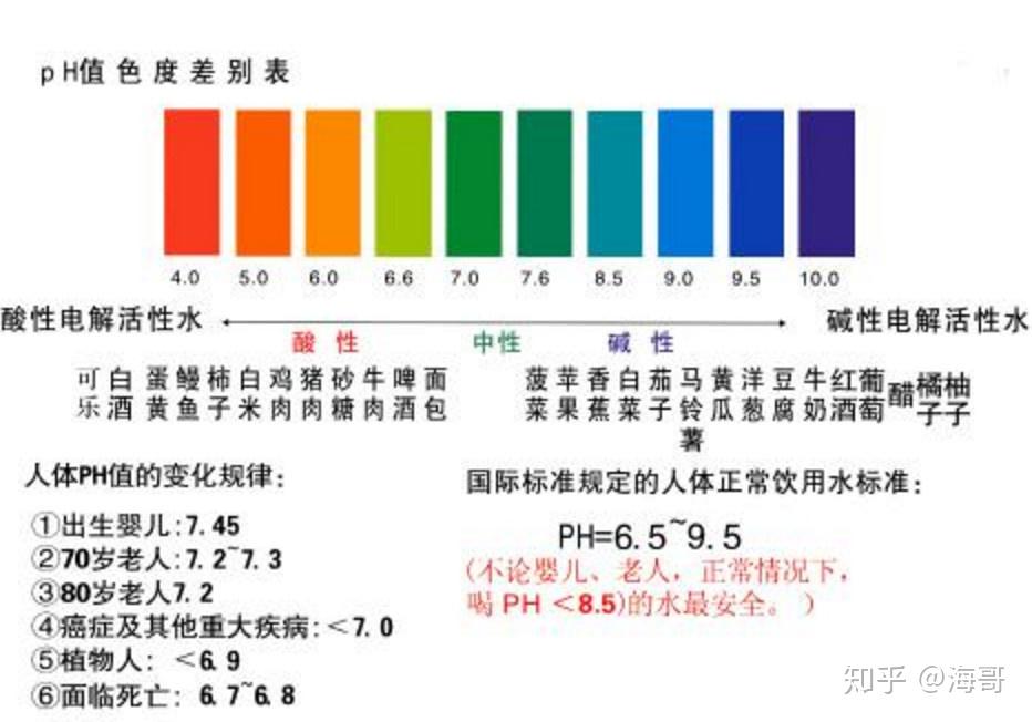 如何通过食物调整身体的PH值