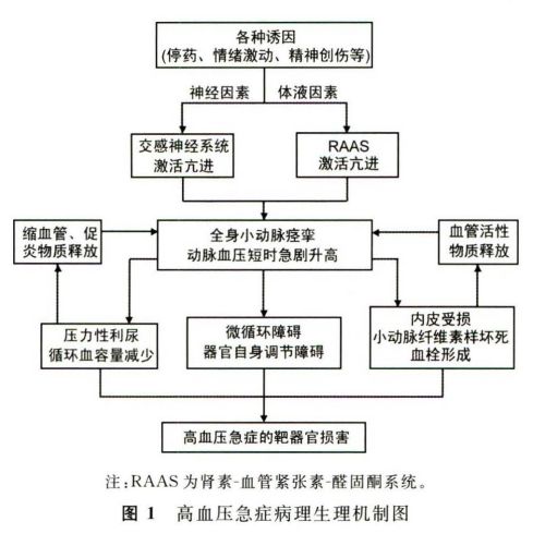 高血压危机的急救方法与技巧