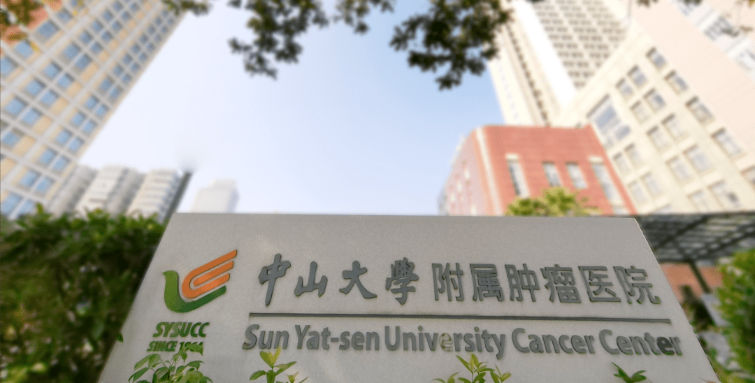 广州中山大学附属肿瘤科医院电话，生命与希望的沟通热线