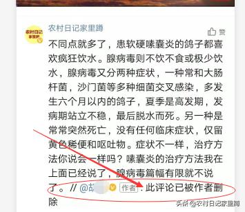 鸽子腺病毒的传播特性与防控措施探究，传染性有多强？