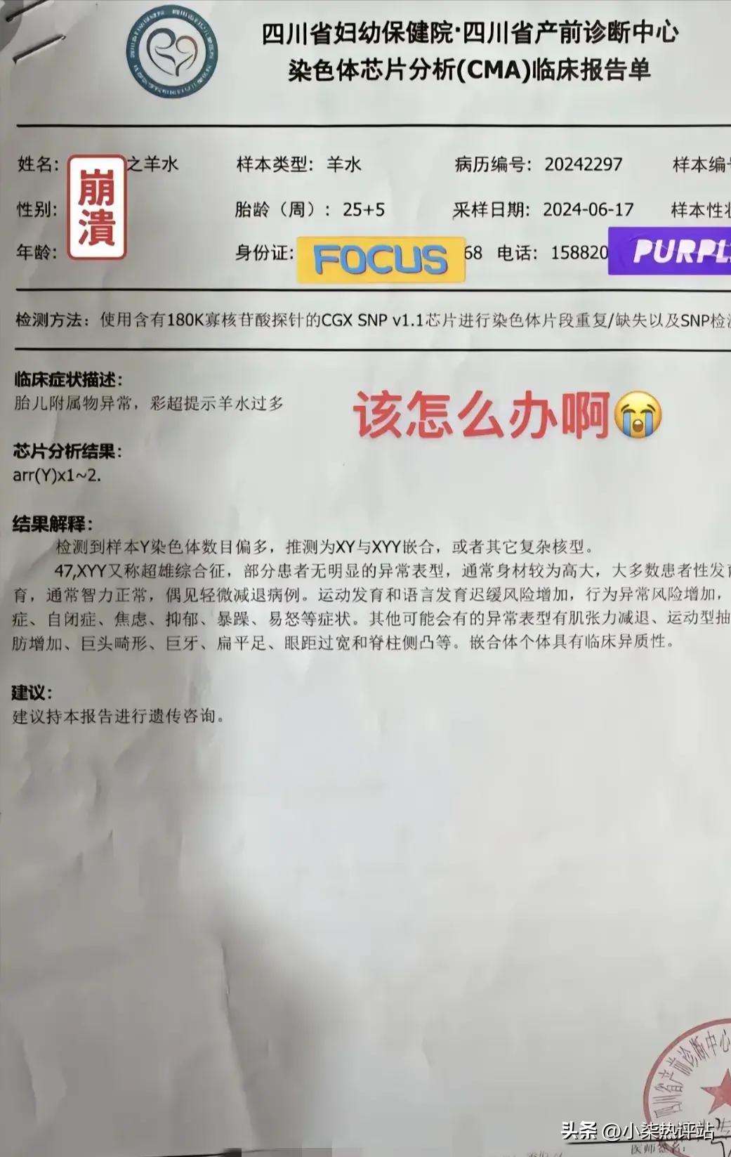 超雄综合症与嵌合体现象的深入研究探索