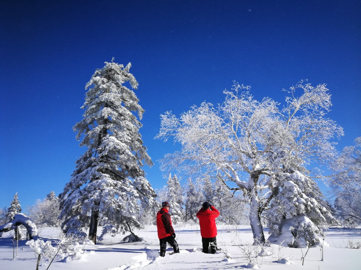 寒冷之地潜藏金山银山，挖掘冰雪胜地的无尽财富