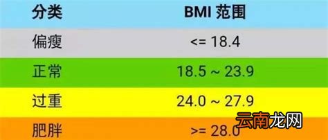 BMI计算公式的解读与应用指南