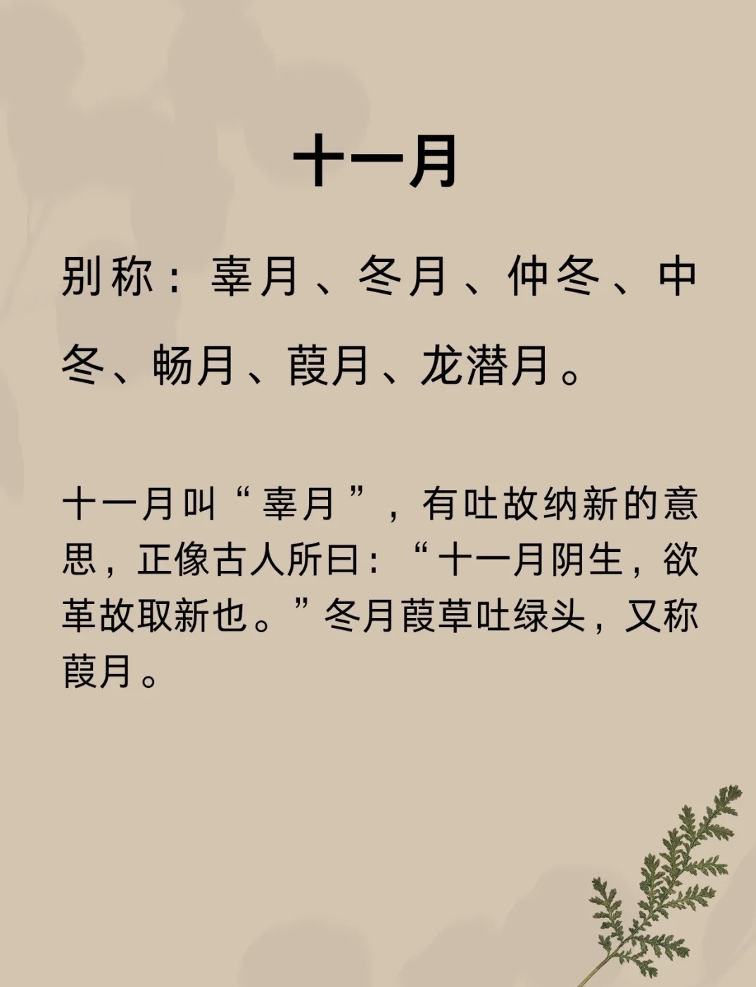 冬月，诗意与神秘的交融