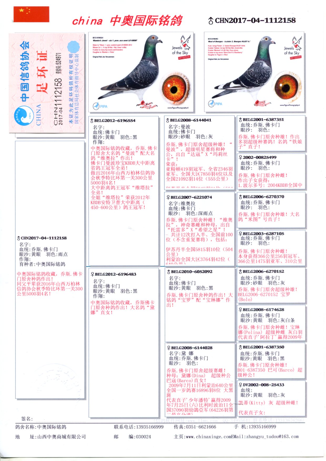 中国信鸽信息网，连接鸽界，实时传递信息