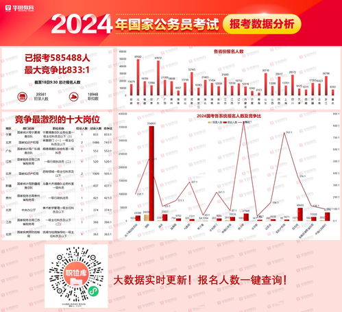 如何应对即将到来的2024年公务员考试报名，报考时间与备考策略解析