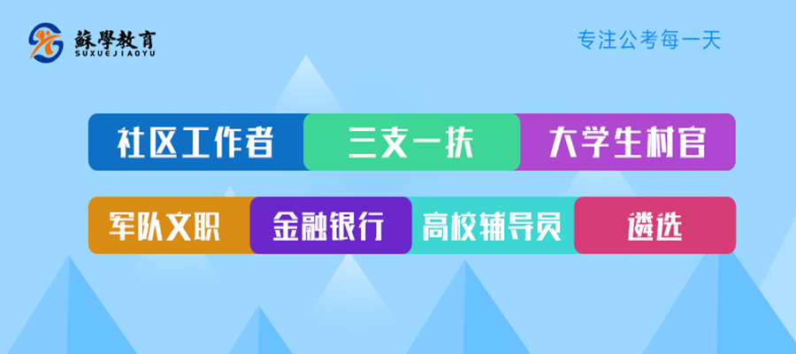 考公考编查三代，深度探究背后的影响与考量