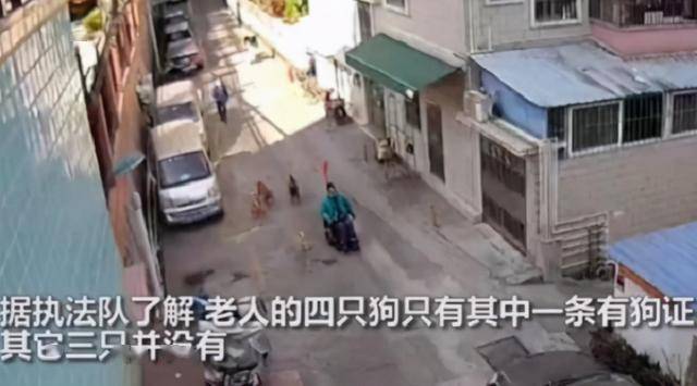 杭州老人钻狗洞进地铁站背后的民生需求与改进措施关注热议