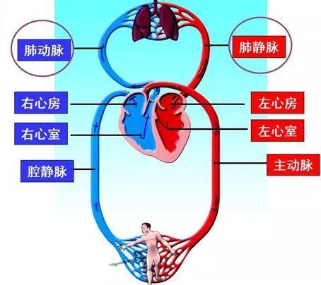 公务员考试网，助力备考，实现公职梦想之路