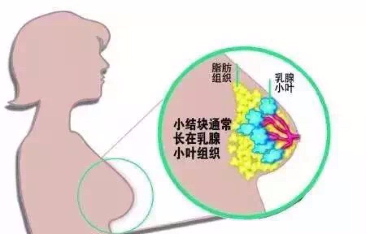 2024年12月14日 第3页