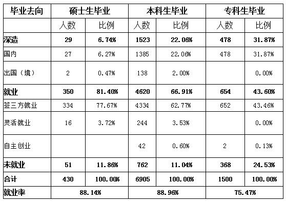 2024年12月15日 第33页