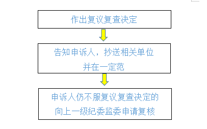 复审的含义与重要性解析