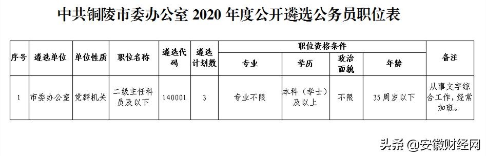 铜陵公务员政审程序与标准的全面解读