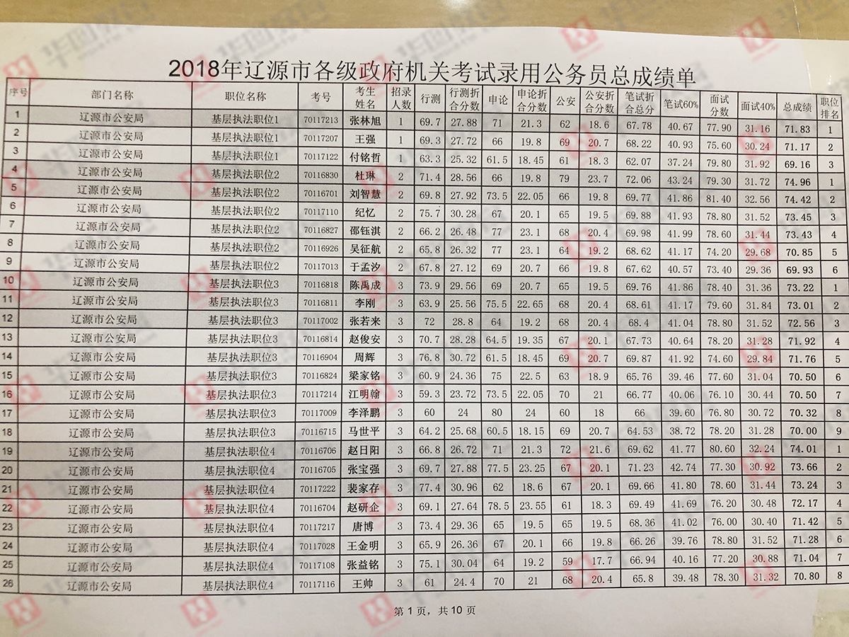 公务员考试成绩排名前十深度解析与洞察揭秘