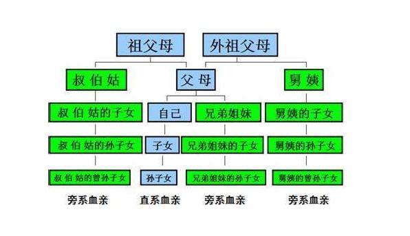 直系亲属范围详解，哪些人属于直系亲属？