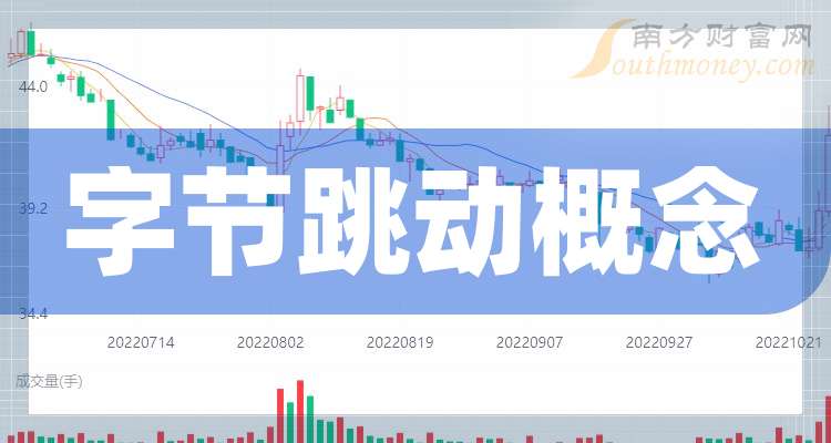 回望2024，支撑我前行的力量支点