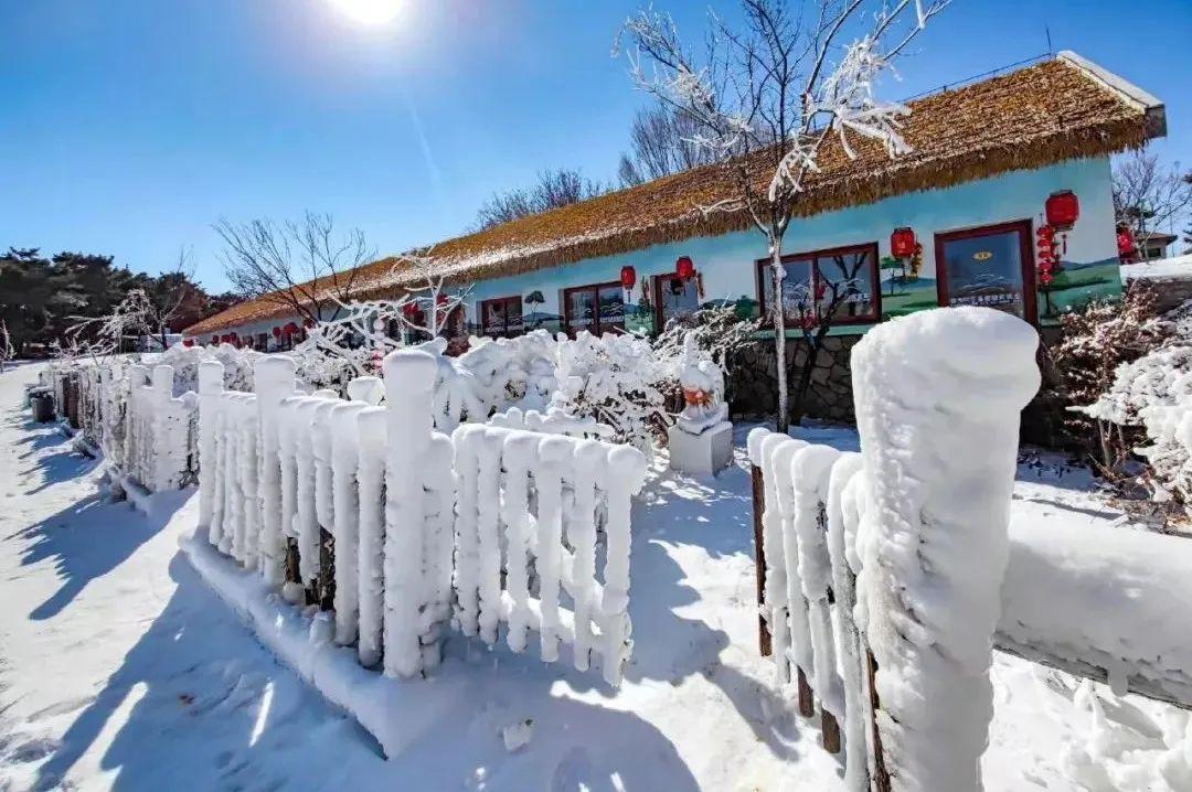 黑龙江雪乡女子泼水成冰游戏失误引发二级烫伤，背后的科学原理揭秘