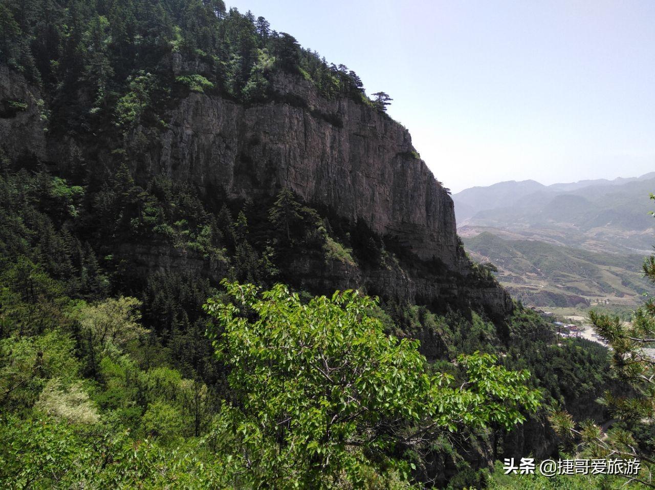 大同浑源山里老虎传闻真相探究，假消息揭秘