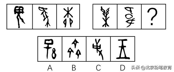 行测模拟试卷，提升综合能力与实战技巧