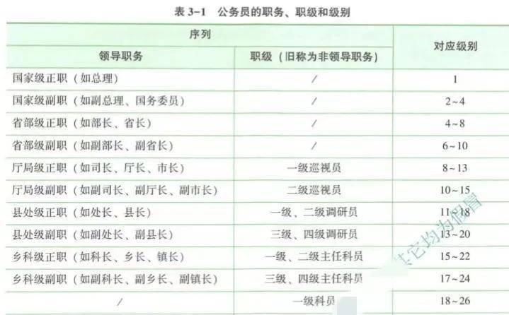 公务员局局长职责与角色深度解析