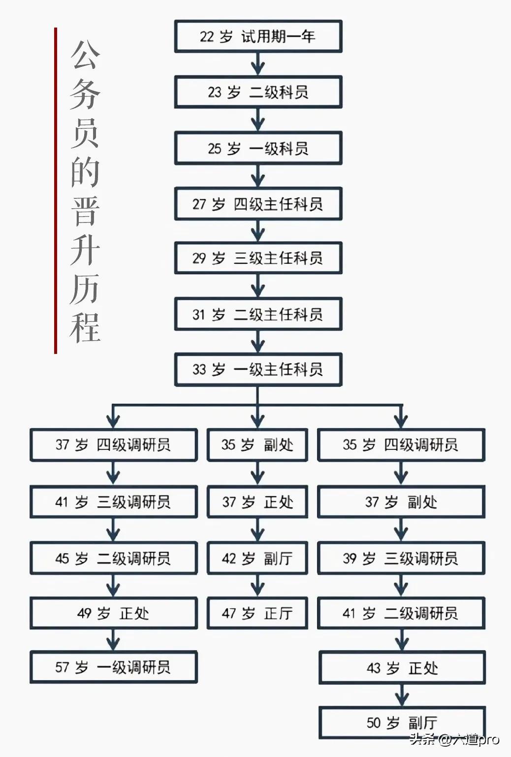 公务员报考流程图全面解析