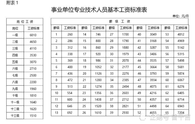 事业单位职称级别概览，一览表与重要性解析