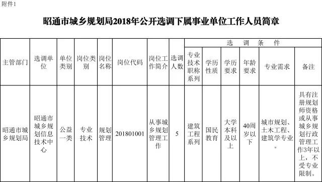 2024年12月25日 第37页