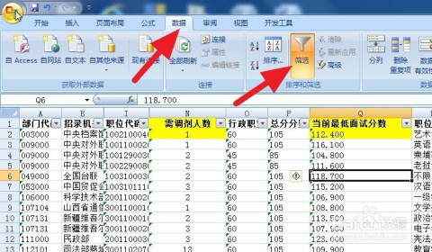 2024年国考调剂职位表下载指南及解析，全面解读与指导