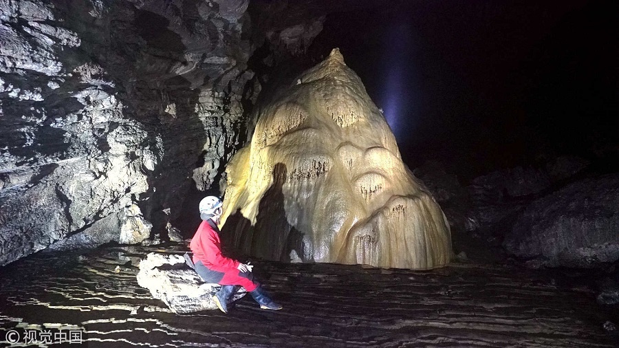 广西废弃溶洞发现盲鱼新种群，自然奥秘揭秘再添一重磅发现