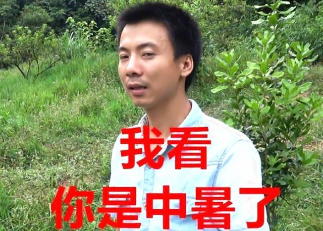 李子柒和华农兄弟回归背后的情感与文化延续，怀念的生活态度与文化的力量