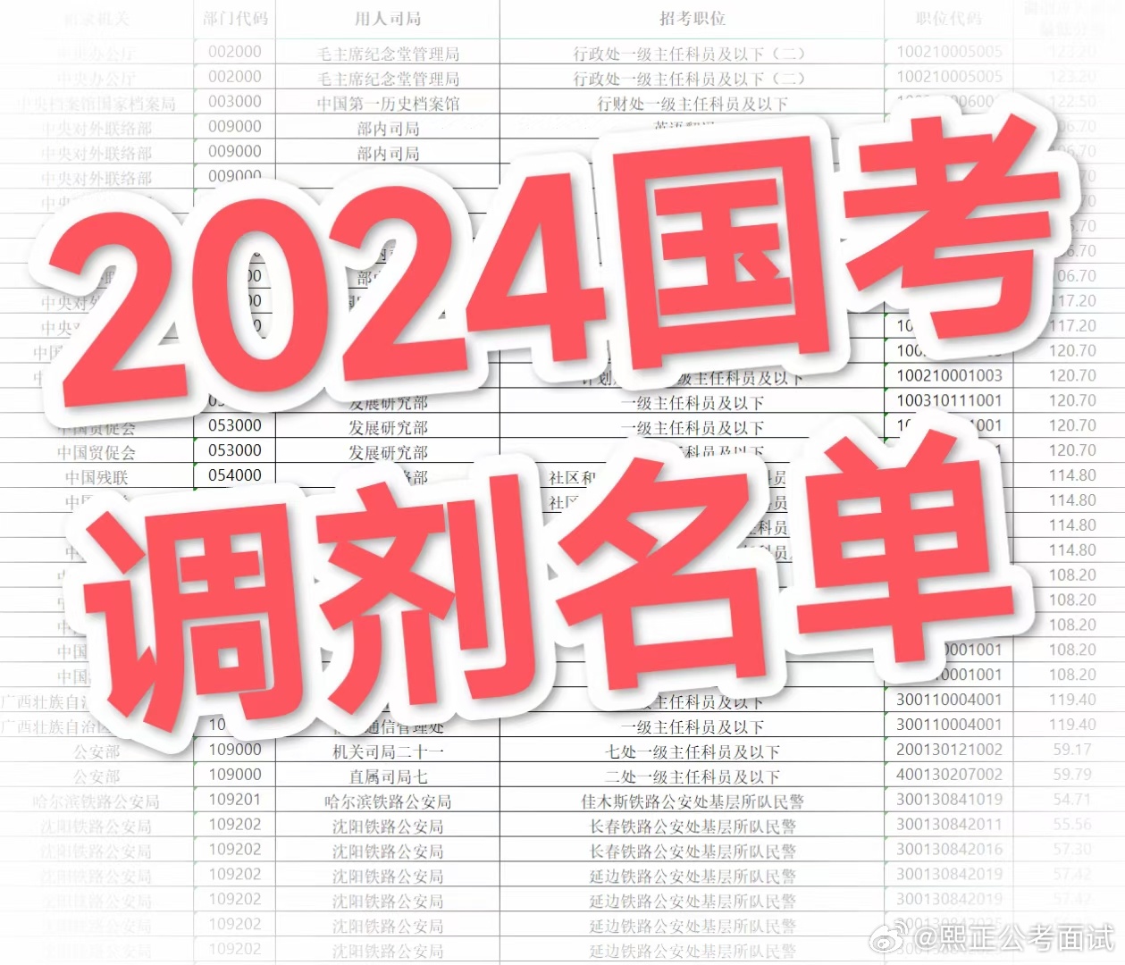 国考调剂岗位表2024深度解析及应对策略指南