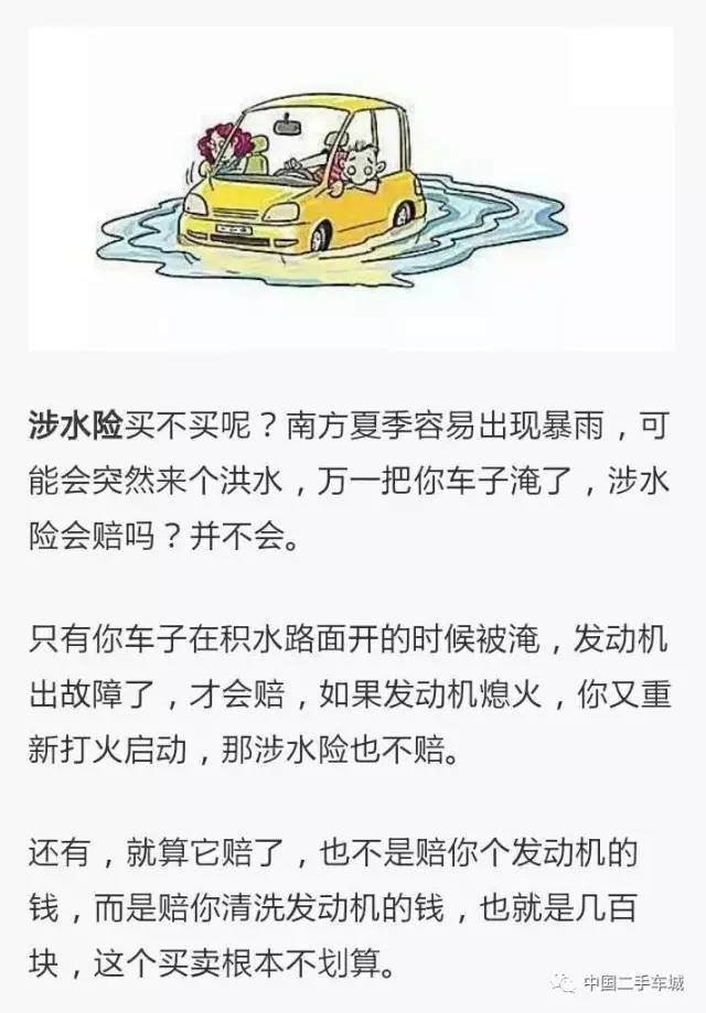 男子故意驾车入湖事件，投保决策与保险公司反欺诈策略探讨