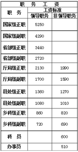 公务员职务级别概览图表，揭示职务级别的重要性