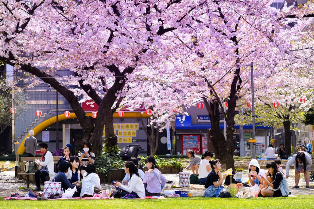 日本九州岛海域地震，影响及后续观察