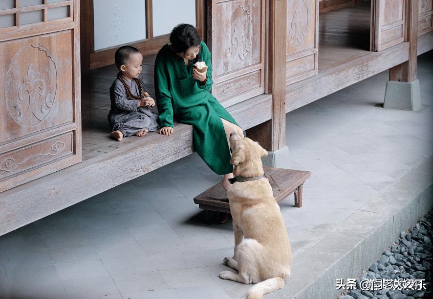 赵丽颖敲木鱼送祝福，喜庆幽默迎新春