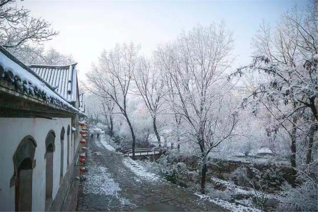 济南迎来降雪天气