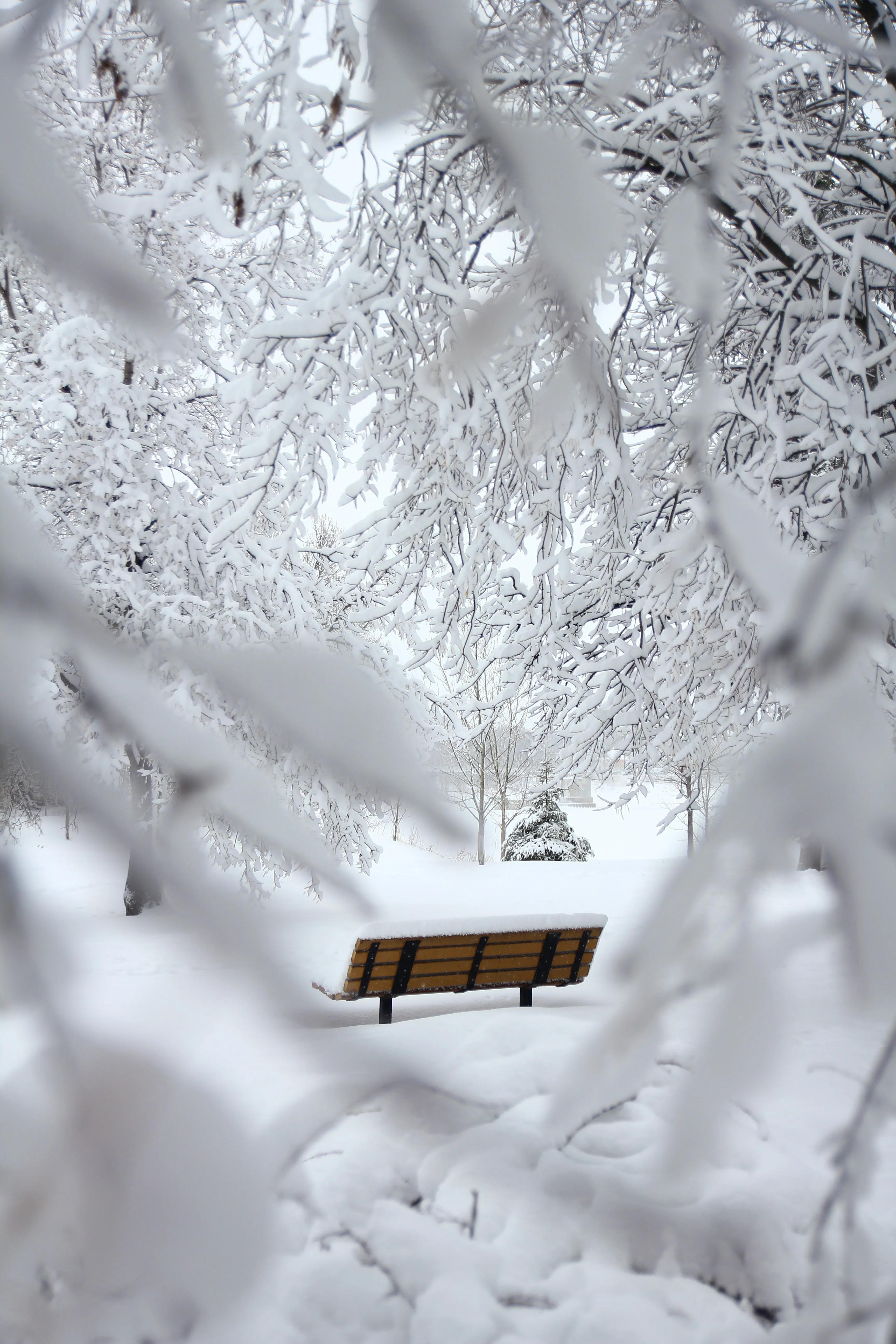 冬日雪景，纷扬纷扬的美丽盛宴